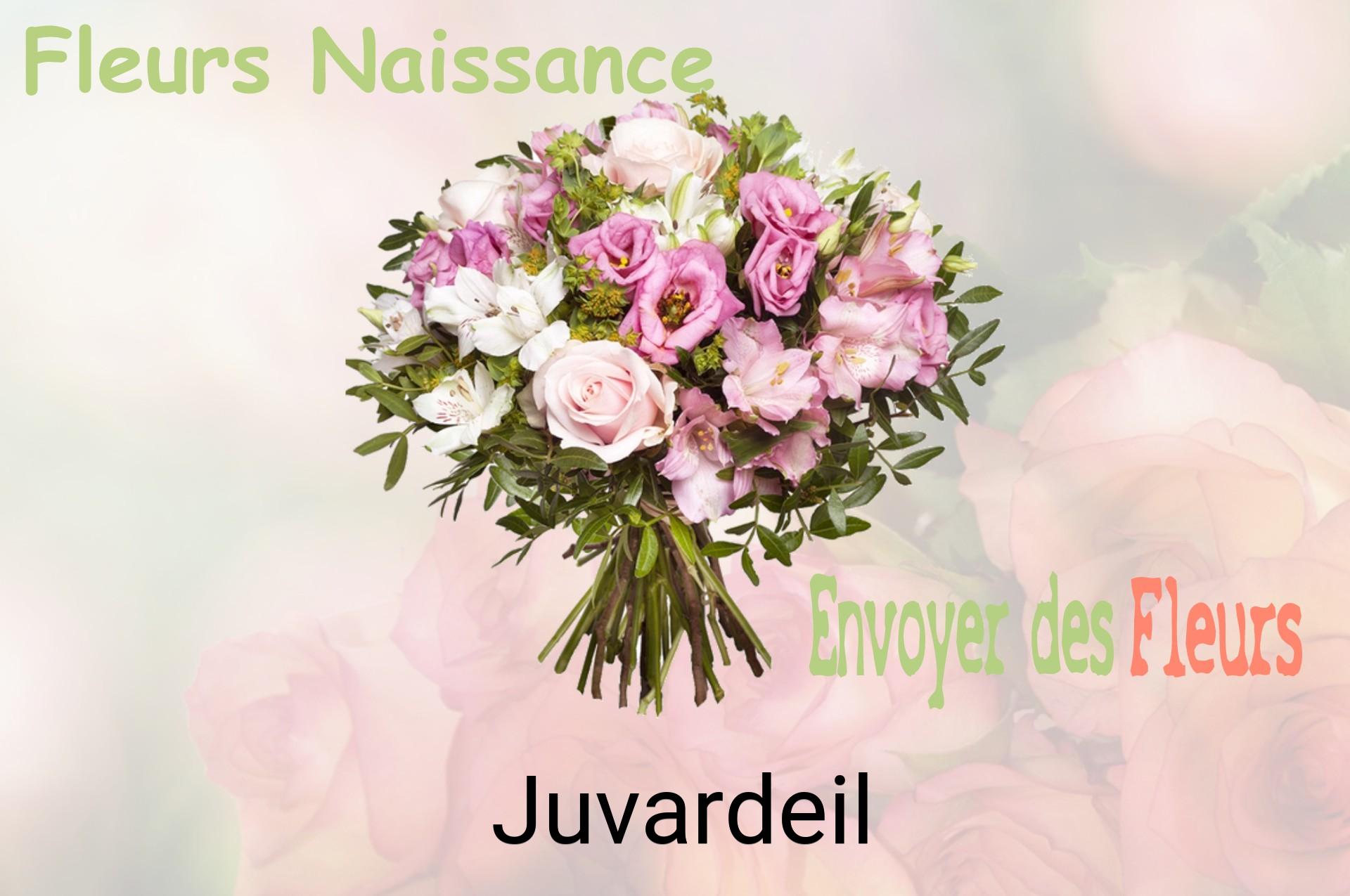 Bouquet de fleurs de naissance livré à Juvardeil